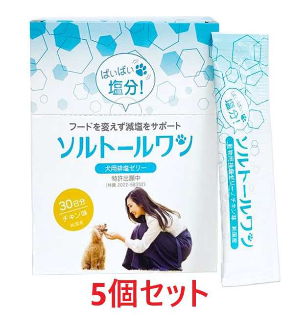 【５箱セット】【ソルトールワン (10g×60包入) ×５箱】【賞味期限：2025.1】【犬用排塩ゼリー】【日本全薬工業】(ソルトール ワン)【レ