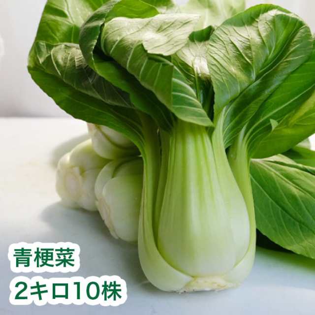 PAY　au　おひたしの通販はau　200g10株入り　静岡県産】　はまべじ　約2kg　青梗菜　チンゲンサイ　マーケット　送料無料　PAY　ちんげんさい　野菜　chingensai　サラダ　マーケット－通販サイト