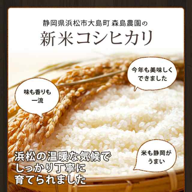 コシヒカリ　PAY　の通販はau　PAY　au　静岡県産　はまべじ　ギフト　森島農園のコシヒカリ　マーケット　国産　送料無料　米　マーケット－通販サイト