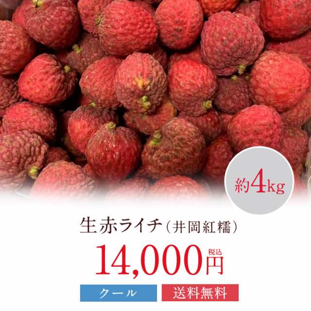 赤ライチ（井岡紅糯種）２kg　PREMI RED