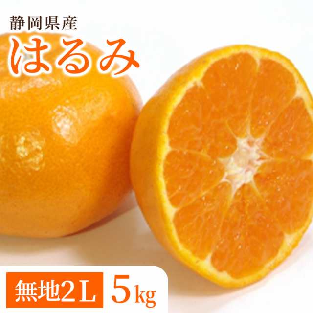 2月中旬より順次発送【静岡県産】はるみ 無地2L 5kg(24個) 送料無料 みかん 希少品種 デコポン JA清水　糖度 あまい フレッシュ 贈答 プレゼント ご褒美の通販は