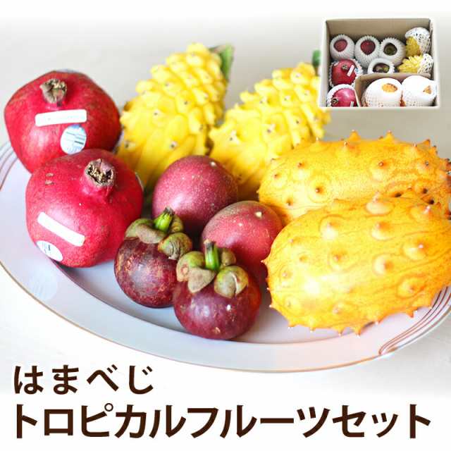 はまべじトロピカルフルーツセット 送料無料 フルーツ 盛り合わせ ギフト（母の日・父の日・御中元・御歳暮・お彼岸・お見舞い等々 敬老の通販は