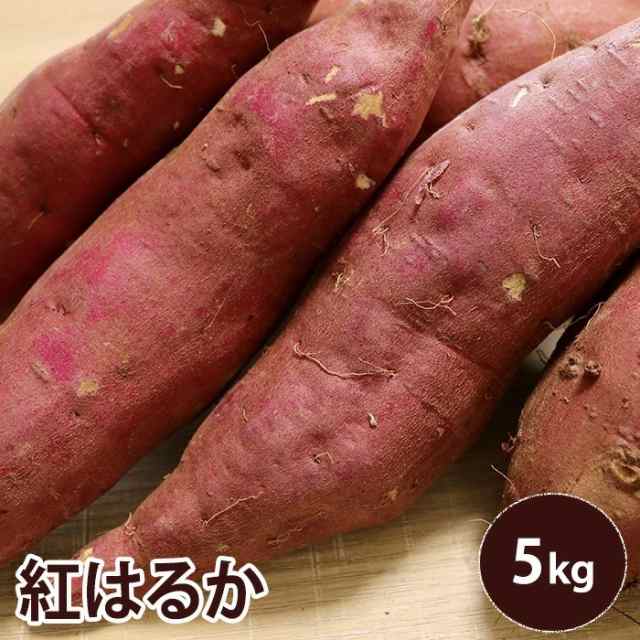 紅はるか 5キロ Mサイズ 約20本 サツマイモ さつまいも 薩摩芋