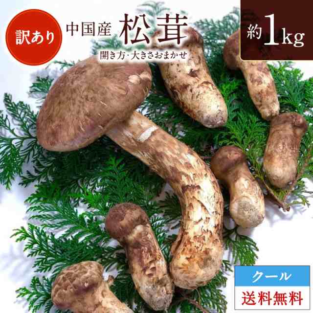 松茸(中国産) 1キロ - 食品