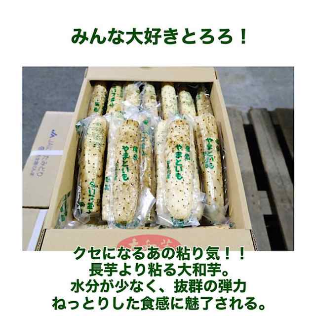 千葉県 群馬県産】大和芋 4kg 棒 送料無料 ヤマトイモ 長芋 千葉県 群馬県産】大和芋 4kg 棒 送料無料 ヤマトイモ 長芋