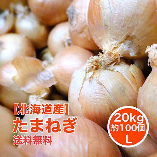 たまねぎ 20kg L 約100個入 1玉約200ｇ 北見 玉葱 玉ねぎ オニオン