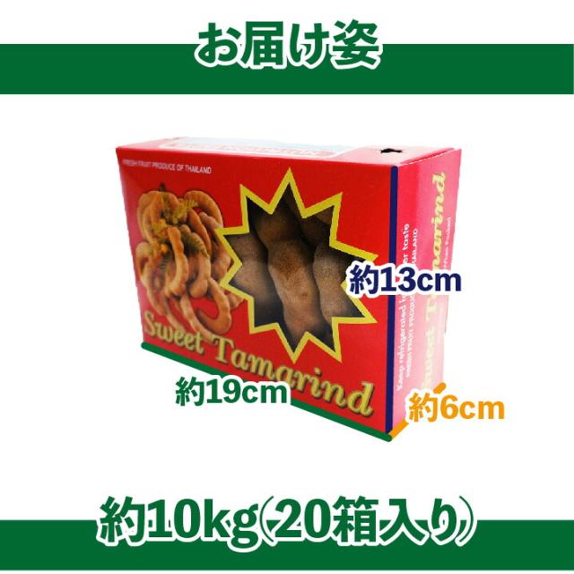 【6月上旬頃より入荷次第順次発送】スイートタマリンド 約10kg 20箱入れ 1箱500g タイ産 送料無料 たまりんど マメ科 トロピカルフルーツ カレー マクカム アサムジャヴァ アサム イムリ インディアンデーツ tamarindus indica チョウセンマダマ ドライフルーツ_2
