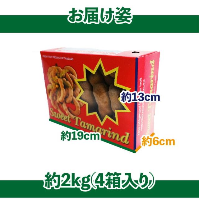 【6月上旬頃より入荷次第順次発送】スイートタマリンド 約2kg 4箱入れ 1箱500g タイ産 送料無料 たまりんど マメ科 トロピカルフルーツ カレー マクカム アサムジャヴァ アサム イムリ インディアンデーツ tamarindus indica チョウセンマダマ ドライフルーツ_2