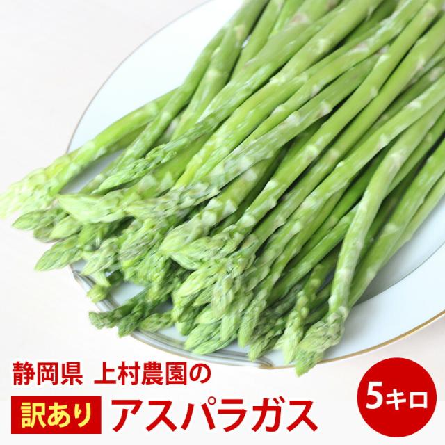 アスパラガス 静岡県磐田市上村農園 訳ありアスパラガス クール便 グリーンアスパラガス 5キロ 5キロ詰 青果 野菜 送料無料 今期販売スタート