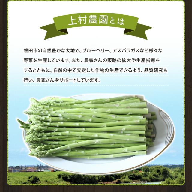 アスパラガス 静岡県磐田市上村農園 訳ありアスパラガス クール便 グリーンアスパラガス 5キロ 5キロ詰 青果 野菜 送料無料 今期販売スタート_6