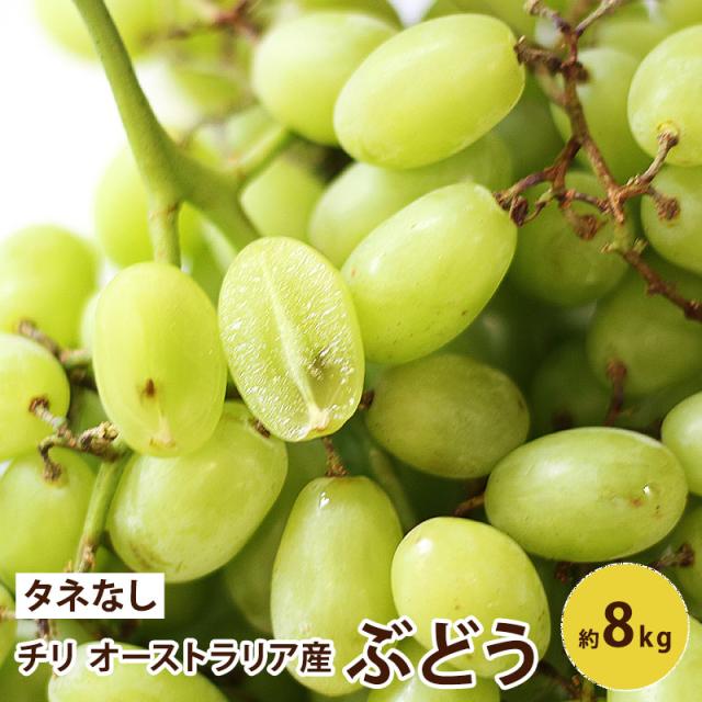 グリーンシードレス ぶどう タネなし 【メキシコ産】 8kg フルーツ ギフト 葡萄 ブドウ 皮のまま食べられる 送料無料 11,100円