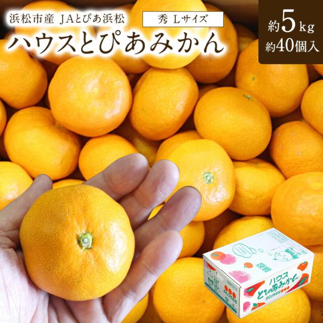 とぴあ浜松ハウスみかん 秀L 約5kg（40個前後） 静岡・浜松産の極甘みかん 浜松産ハウスみかん 美味しい 家庭用 大容量 送料無料