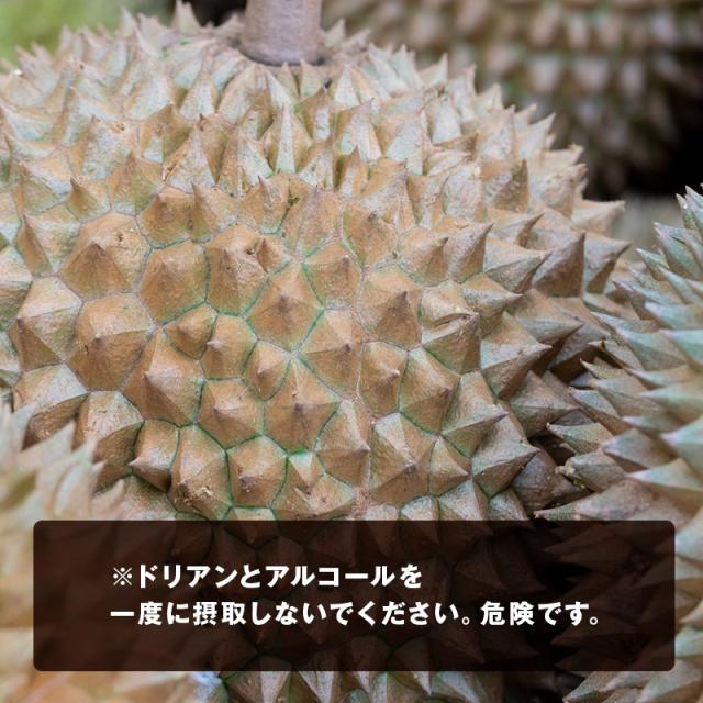 ドリアン 8kg 4玉 　果物の王様 dorian pine 甘い 果物 フルーツ【ベトナム産】送料無料_2