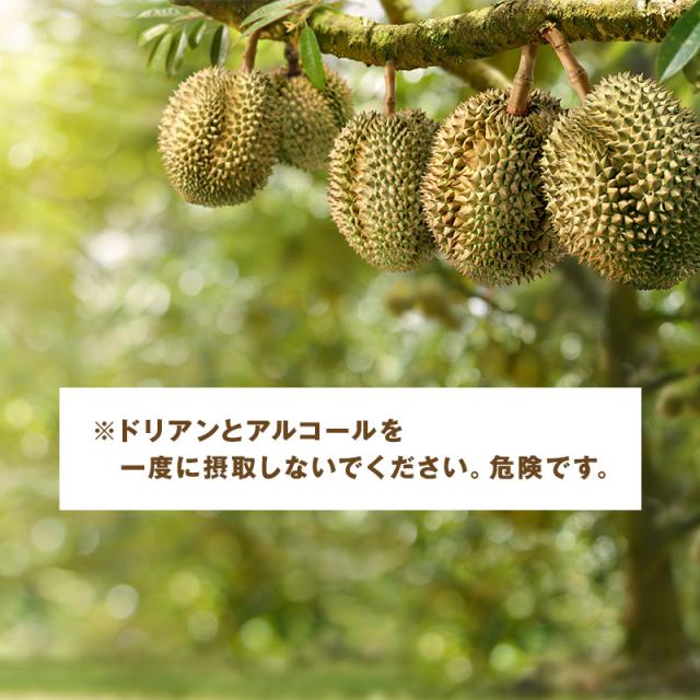 ドリアン 【ベトナム産】2kg以上 大玉1個売り 果物の王様 送料無料