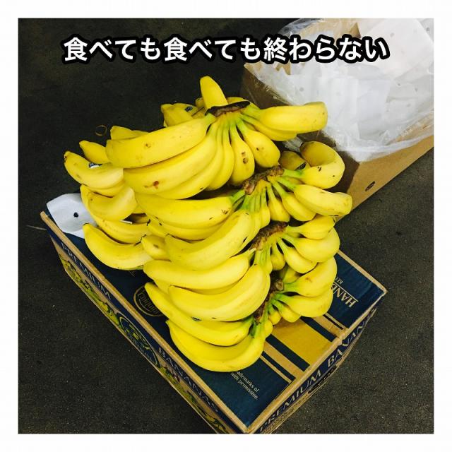 バナナ１箱　メロン1箱 メロン 1ヶ入 イラスト 10枚 セット メロン箱 メロン専用箱