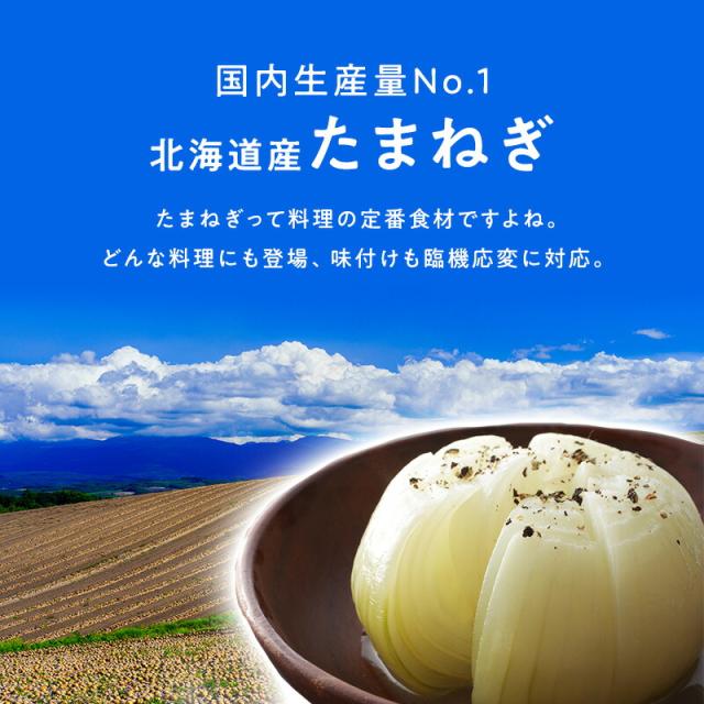 売れ行き好調【北海道産】たまねぎ 20kg L 約100個入 1玉約200ｇ　玉葱 玉ねぎ オニオン onion カレー 業務用_1