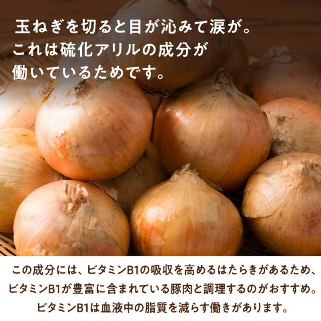 売れ行き好調【北海道産】たまねぎ 20kg L 約100個入 1玉約200ｇ　玉葱 玉ねぎ オニオン onion カレー 業務用_2