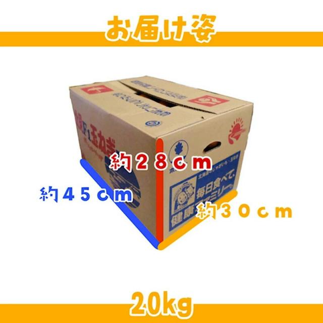 売れ行き好調【北海道産】たまねぎ 20kg L 約100個入 1玉約200ｇ　玉葱 玉ねぎ オニオン onion カレー 業務用_5