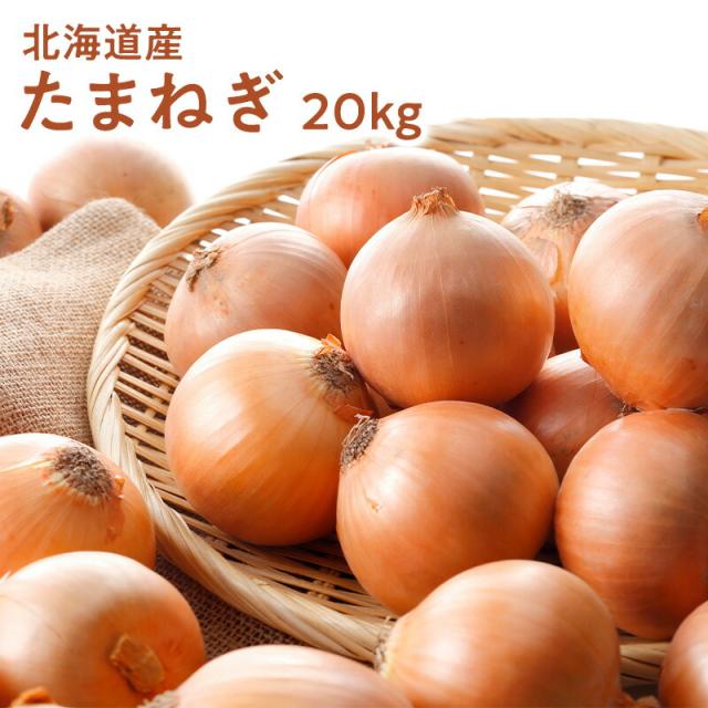 売れ行き好調【北海道産】たまねぎ 20kg L 約100個入 1玉約200ｇ　玉葱 玉ねぎ オニオン onion カレー 業務用