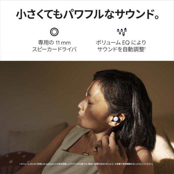 Pixel Buds Pro Fog Google グーグル ピクセル GA03203-JP 小 イヤホン