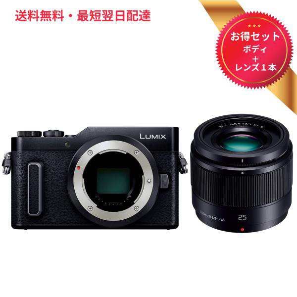 クリエイテ パナソニック ミラーレス一眼カメラ ルミックス LUMIX G