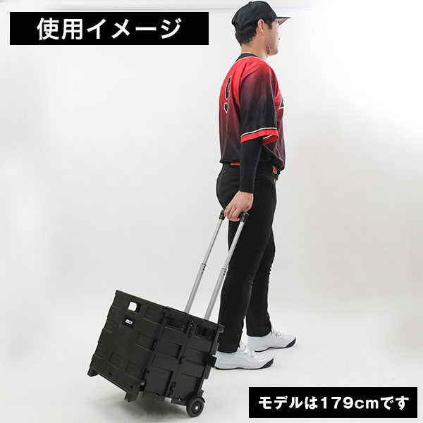 野球 ベースボールキャリー 45L 軟式ボール約100球収納可 ボールケース