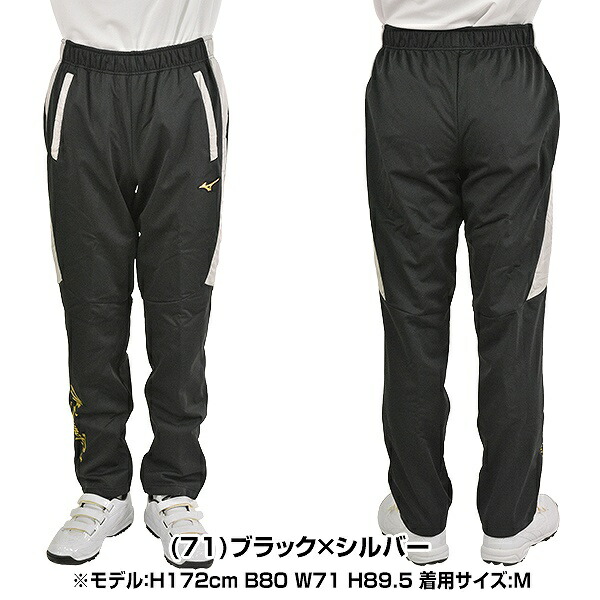 ミズノ 野球 テックシールドパンツ 12JF8W0271 ミズノ 野球 テックシールドパンツ 12JF8W0271