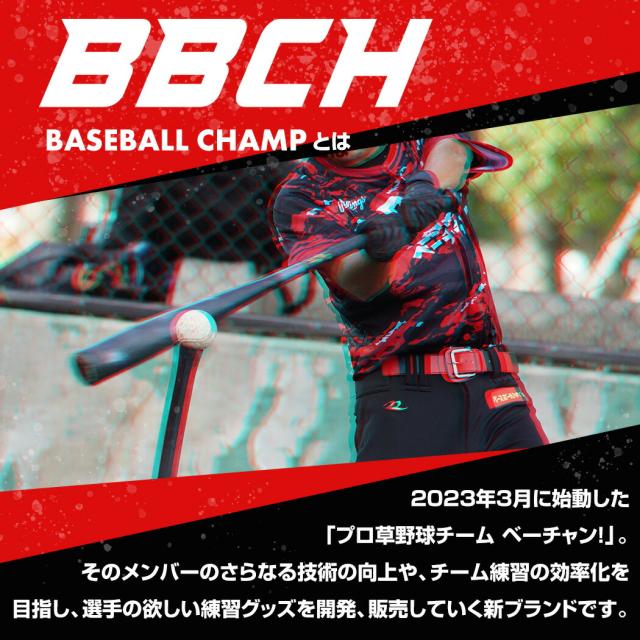 野球 練習 L字型ネット スチール製 投手用 2.1×2.1m キャスター付 軟式M号・J号 ソフトボール対応 左右兼用 収納バッグ付き L字ネット 防球ネット フェンス スクリーン 壁 ピッチャー 保護用 投球 トレーニング スクリーン バッティング 打撃 BBCH バッグ刺繍可(B)