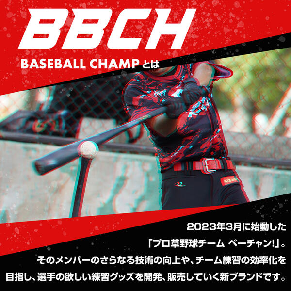 【ワケありにつき特別価格】 野球 練習 ネット 硬式 軟式M号・J号 ソフトボール対応 約3×2.1m 大型 スーパーワイドバッティングネット 収納バッグ付き バッティングゲージ 打撃 バッティング 野球ネット 練習ネット 折りたたみ M球 J球 BBCH バッグ刺繍可(B)