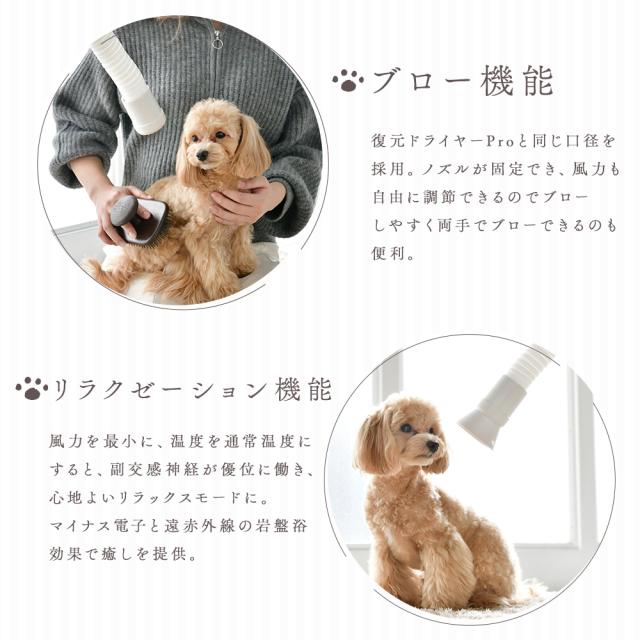 正規代理店】 復元ドライヤーPET ルーヴルドー ハンズフリー 正規代理店】 復元ドライヤーPET ルーヴルドー ハンズフリー