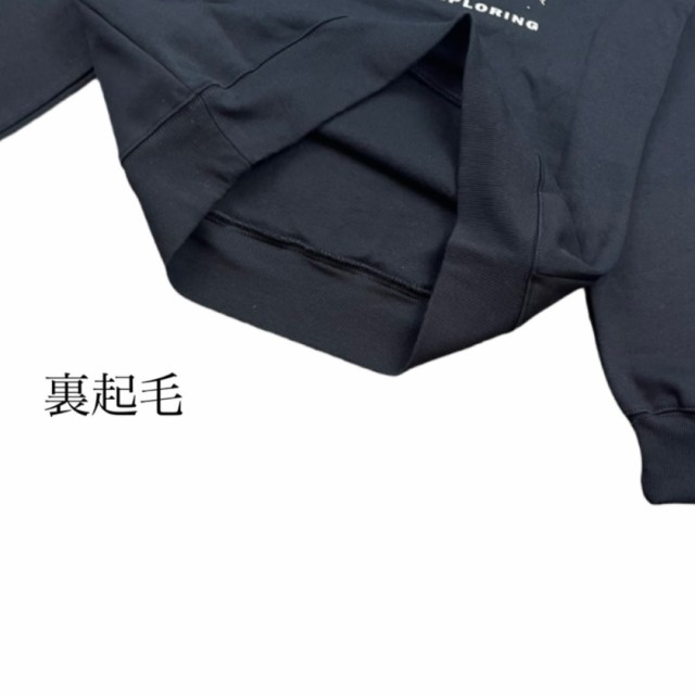 ザ ノースフェイス The North Face ボックス パーカー バックプリント NF0A7UNS フーディー メンズ レディース 裏起毛 THE NORTH FACE BO