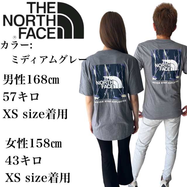 ザ ノースフェイス The North Face Tシャツ ボックス NSE 半袖 メンズ レディース NF0A812H/NF0A2TX2 バックロゴ  THE NORTH FACE S/S BOX｜au PAY マーケット