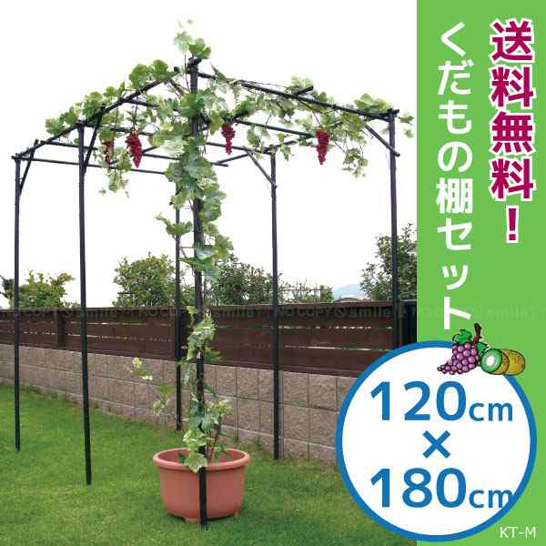 くだもの棚セット[KT-M]【送料無料】[DAIM]の通販は