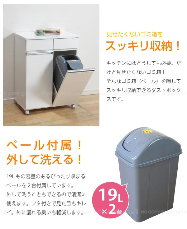 ダイニングダストボックス2D【直】【送料無料】[KRO][nyuka4上]_1