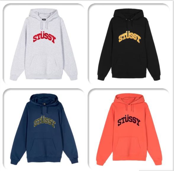 ステューシー STUSSY CHENILLE ARCH HOOD スウェット パーカー プル