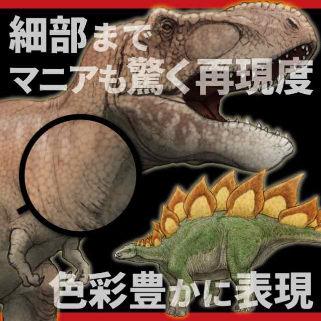 恐竜 古代生物 ステッカー 1シート （ Aタイプ アソート ）《 シール