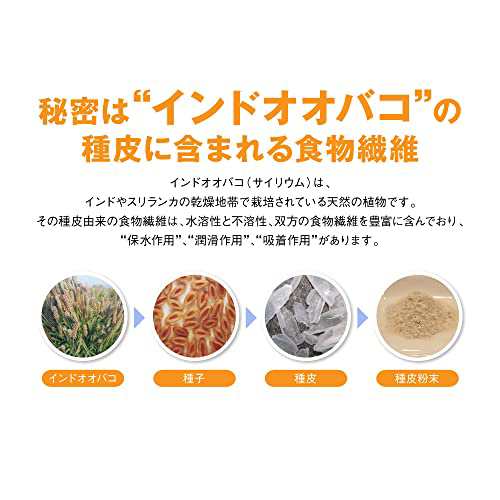 日清食品 トリプルバリア オオバコ サイリウム 甘さすっきりレモン味 1箱 30本入 機能性表示食品 スティックタイプ 粉末飲料｜au PAY  マーケット