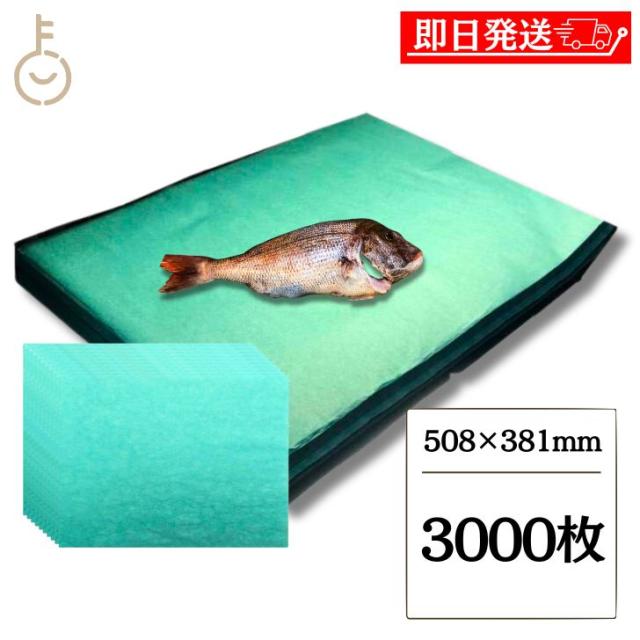 グリーンパーチ 4切り 3000枚 508×381mm キッチンペーパー ペーパータオル 半分折り コンパクト 浜田紙業 魚を包む緑の紙 魚 緑の紙 グリーンパーチ紙 グリーンシート 青紙 吸水紙 保鮮紙 おさかなパックン 津本式