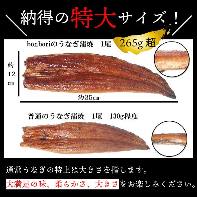 ぼんぼり 鰻の蒲焼 特大 265g 超 3尾 ウナギ の タレ 山椒 付 | うなぎ蒲焼 プレゼント うなぎの蒲焼 贈り物 冷凍 うなぎ 蒲焼き 鰻 にほんうなぎ ニホンウナギ 土用の丑 土用の丑の日 御歳暮 クリスマス 誕生日 お取り寄せ お正月 熨斗 冷凍食品 ギフト bonbori 送料無料の通販は