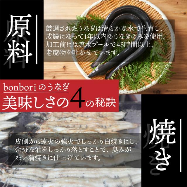 ぼんぼり 鰻の蒲焼 特大 265g 超 3尾 ウナギ の タレ 山椒 付 | うなぎ蒲焼 プレゼント うなぎの蒲焼 贈り物 冷凍 うなぎ 蒲焼き 鰻 にほんうなぎ ニホンウナギ 土用の丑 土用の丑の日 御歳暮 クリスマス 誕生日 お取り寄せ お正月 熨斗 冷凍食品 ギフト bonbori 送料無料の通販は