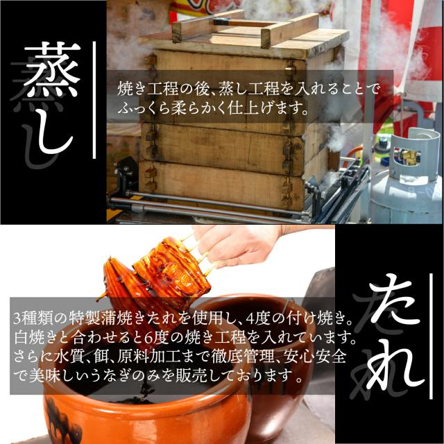 ぼんぼり 鰻の蒲焼 特大 265g 超 3尾 ウナギ の タレ 山椒 付 | うなぎ蒲焼 プレゼント うなぎの蒲焼 贈り物 冷凍 うなぎ 蒲焼き 鰻 にほんうなぎ ニホンウナギ 土用の丑 土用の丑の日 御歳暮 クリスマス 誕生日 お取り寄せ お正月 熨斗 冷凍食品 ギフト bonbori 送料無料の通販は