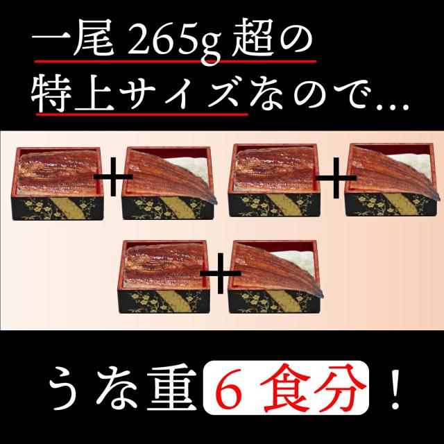 ぼんぼり 鰻の蒲焼 特大 265g 超 3尾 ウナギ の タレ 山椒 付 | うなぎ蒲焼 プレゼント うなぎの蒲焼 贈り物 冷凍 うなぎ 蒲焼き 鰻 にほんうなぎ ニホンウナギ 土用の丑 土用の丑の日 御歳暮 クリスマス 誕生日 お取り寄せ お正月 熨斗 冷凍食品 ギフト bonbori 送料無料の通販は