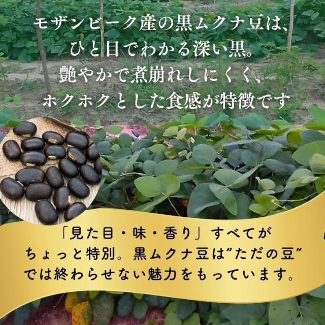モザンビーク産 黒ムクナ豆 500g 【 送料無料 】残留農薬検査済