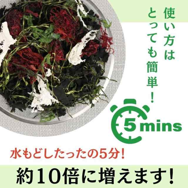 茎わかめ＆茎めかぶMIX 5袋 - 魚介類(加工食品)