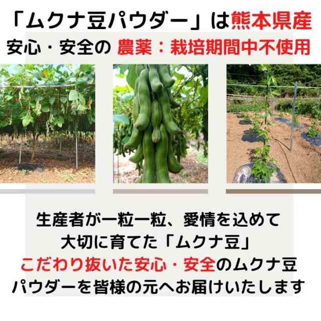 熊本産 ムクナ豆 パウダー 【 お得 な 100g × 2袋 セット 】 国産