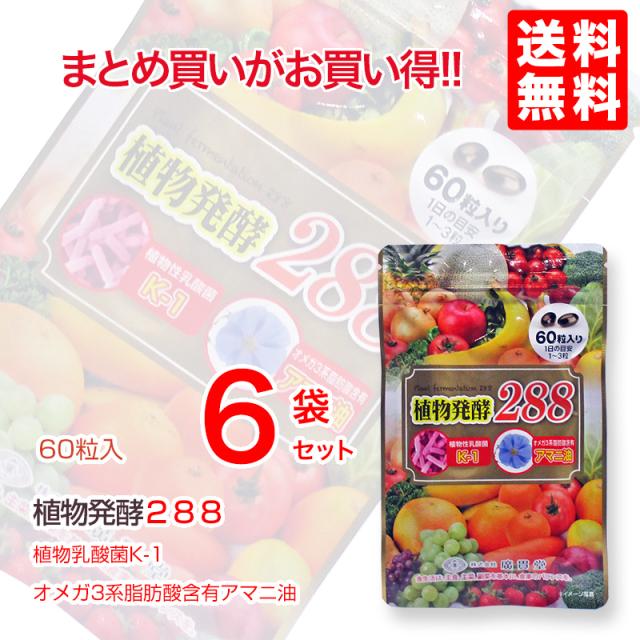 植物発酵288　60粒 ×6個　廣貫堂 リニューアル 155種類から288種類になりました_3