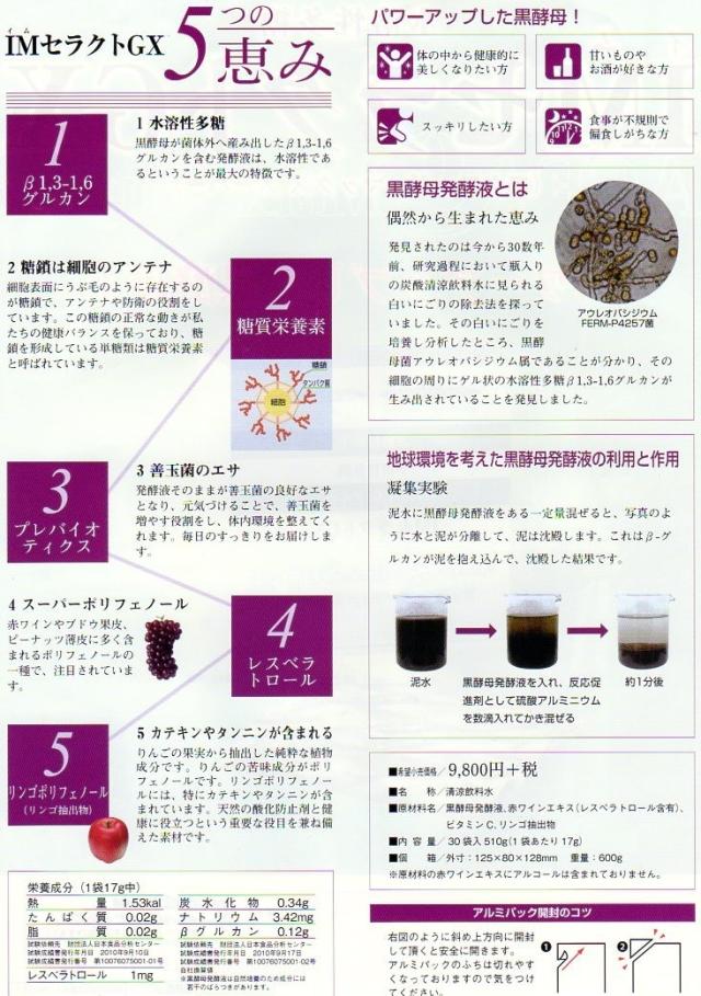 黒酵母 ＩＭセラクトGX 17g×30袋×6箱_2