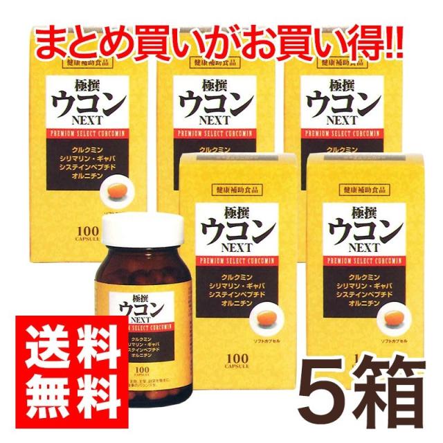 極撰ウコン　NEXT　100粒5本　お酒 呑んだ翌朝スッキリ オルニチン_2