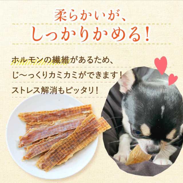 犬 おやつ 無添加 国産 馬肉かみかみガム 75g（25g×3袋セット）ペット