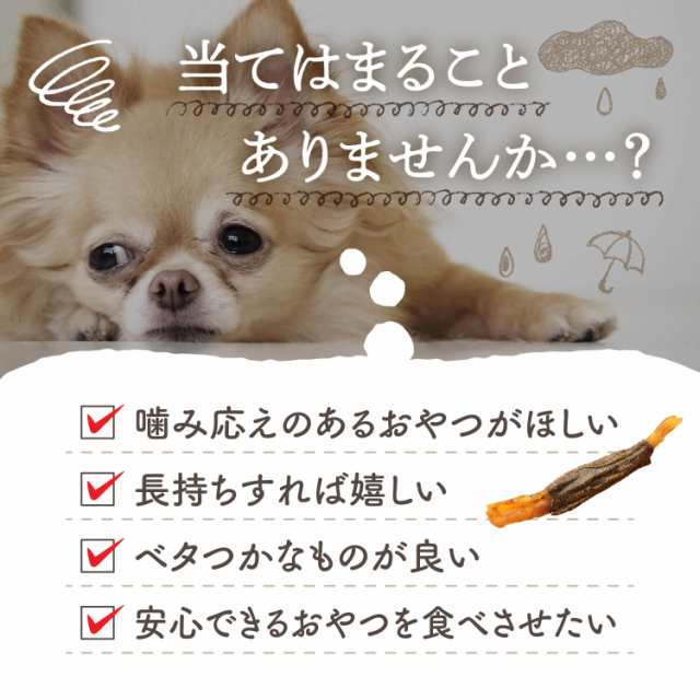 ドッグフード 馬肉 犬 おやつ 無添加 国産 馬肉 アキレス ジャーキー 35g×3袋 歯石 アキレス腱 ハード 歯磨き ガム 長持ち 105g 犬 おやつ ペットフード はみがき シニア 大型犬 柴犬 中型犬 小型犬 犬用 硬い 送料無料 健康いぬ生活 公式 ドックフード